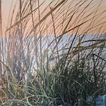 10 - 